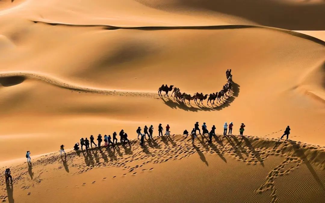 金昌市百余名摄影师齐聚"九棵树沙漠景区"打卡大漠壮美风光_澎湃号