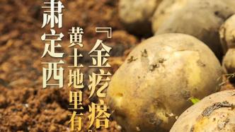 中国薯都，为什么是甘肃定西？