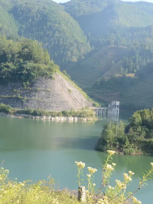 9月16日,位于大方县岔河水库灌区的小屯乡千亩水稻梯田印证了"稻花香