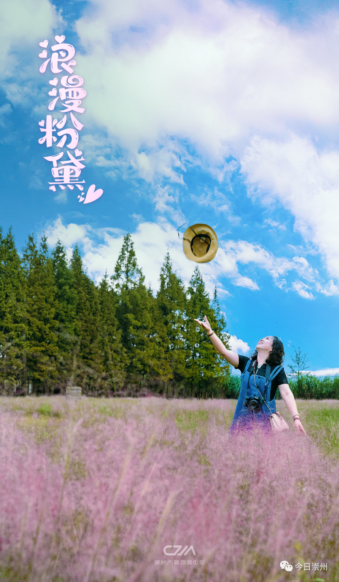 第一波粉黛乱子草上线，来崇州开启秋日“粉色之旅”