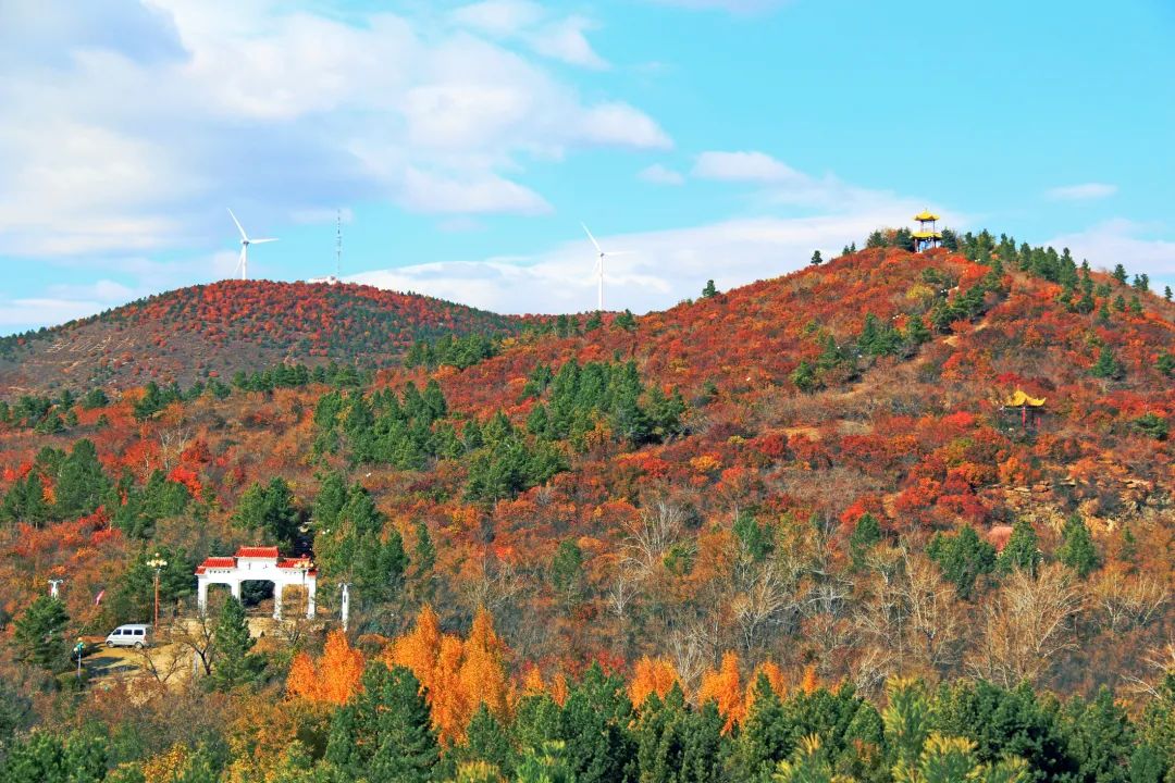 鹤城区旅游景点图片