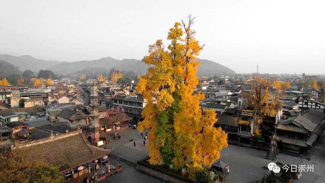 【魅力崇州】“一瓢诗人” 唐求