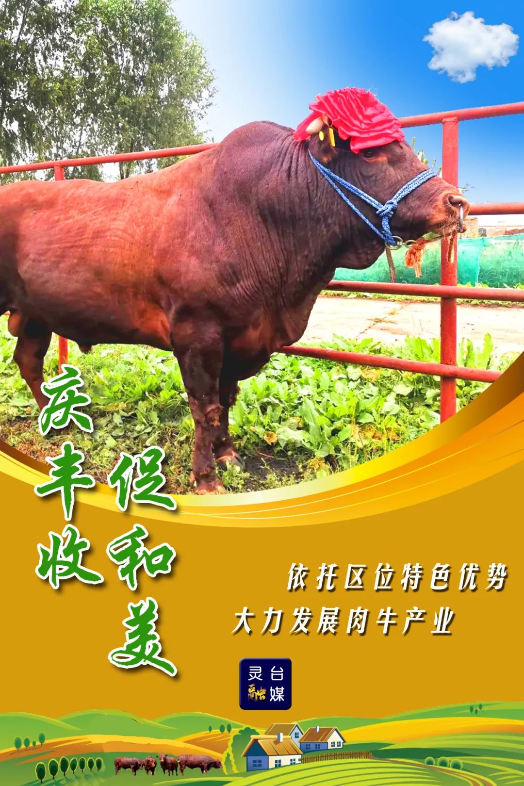 肉牛养殖业前景(肉牛养殖业前景如何)