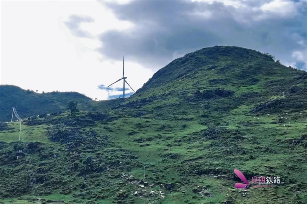 去施甸探访善洲林场听风在林间唱歌