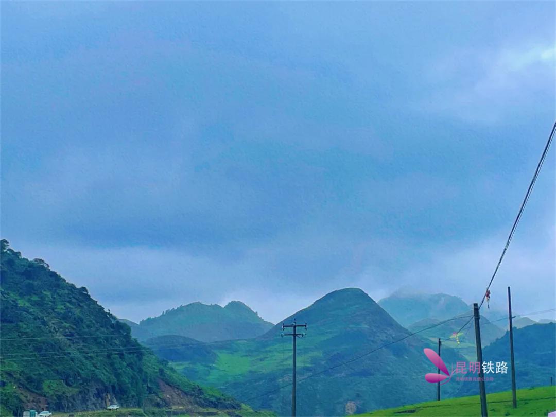 去施甸探访善洲林场听风在林间唱歌