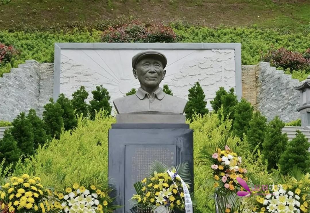 去施甸探访善洲林场听风在林间唱歌