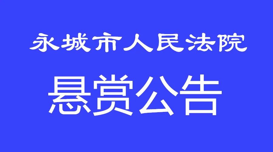 哪里可以查历史被执行人（查询历史被执行人） 第2张