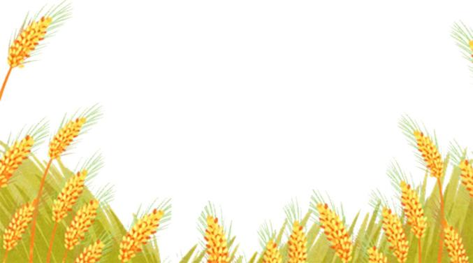 【中国农民丰收节】 秋收忙,稻花香里说普法!