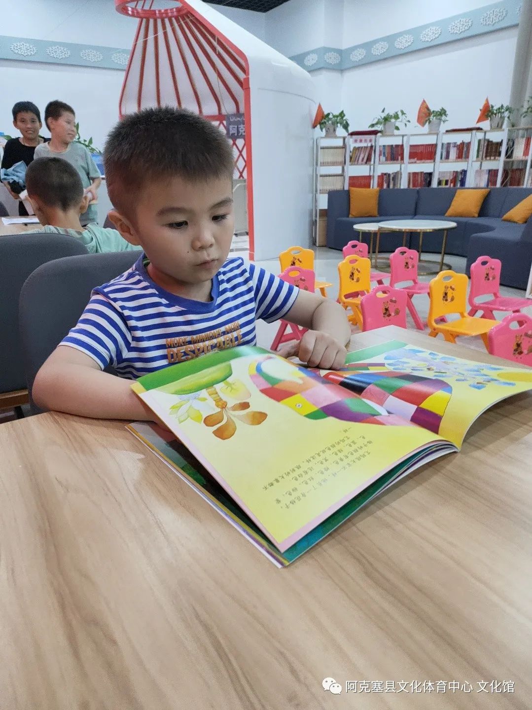 【三抓三促进行时】“小绘本·大世界”绘本共读活动第十一期——《白天鹅的故事》_澎湃号·政务_澎湃新闻-The Paper