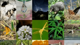 成果反馈 |《生物多样性百科全书》编纂工作持续推进中！
