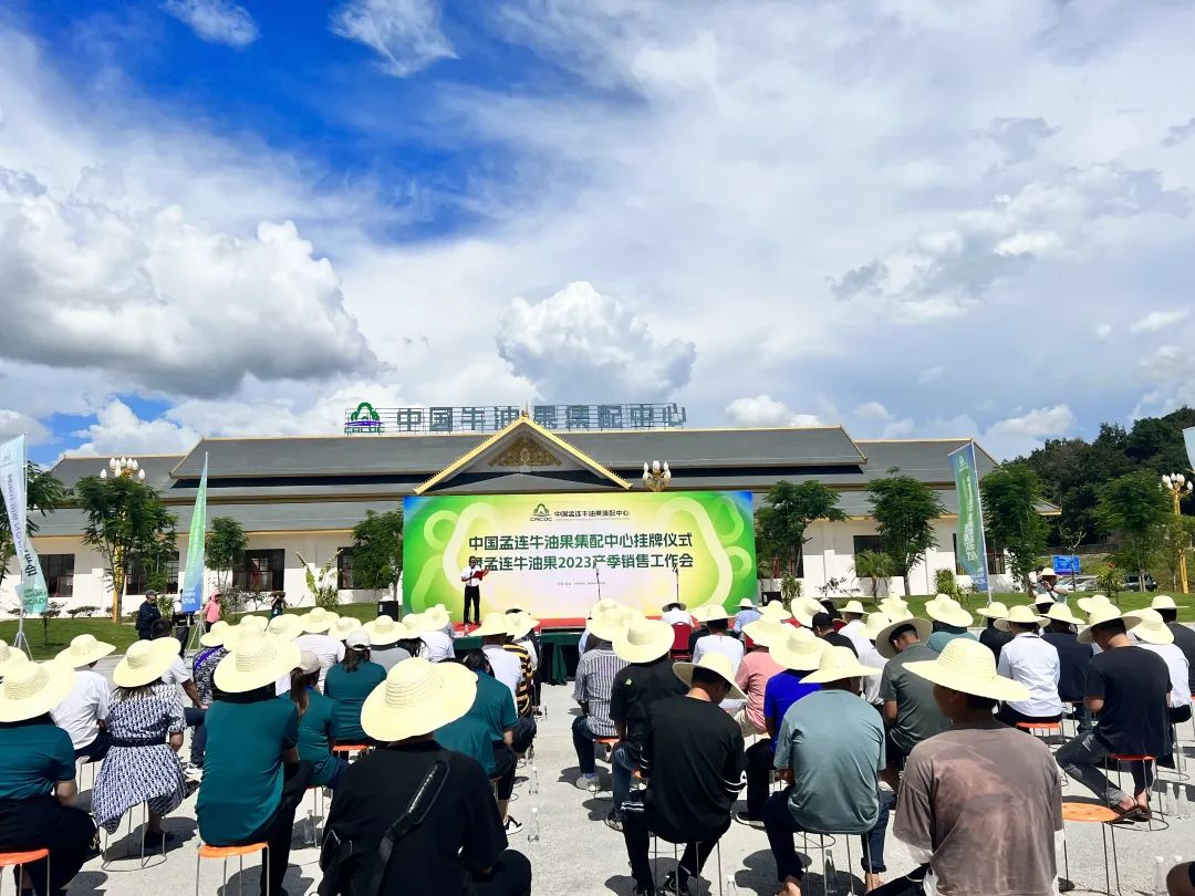 孟连网站建设_(云南孟连建筑工程有限公司电话)