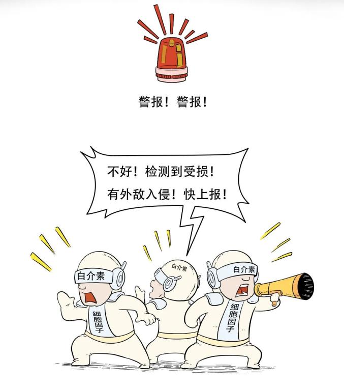 【漫画连载】烟雾兵团入侵记(第三回)_澎湃号·政务