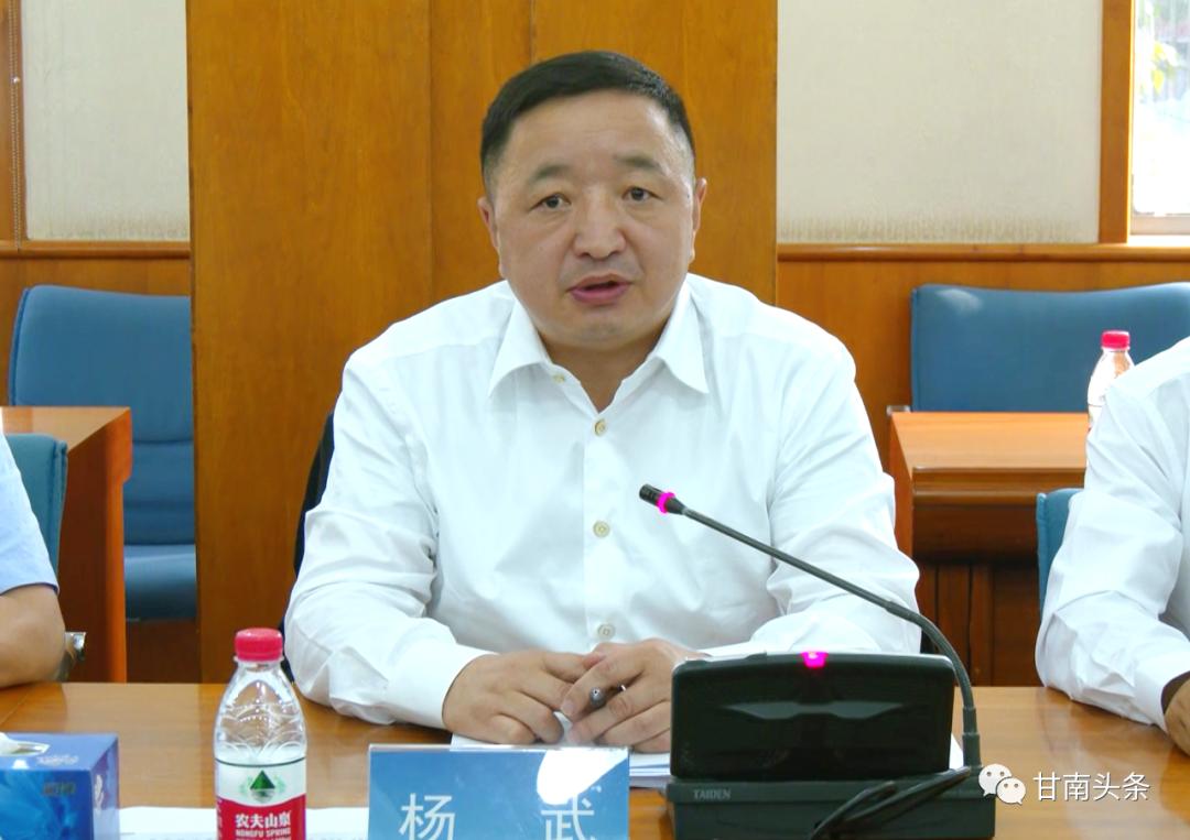 甘南州新能源基地规划及外送方案研究报告评审会在京召开 杨武出席