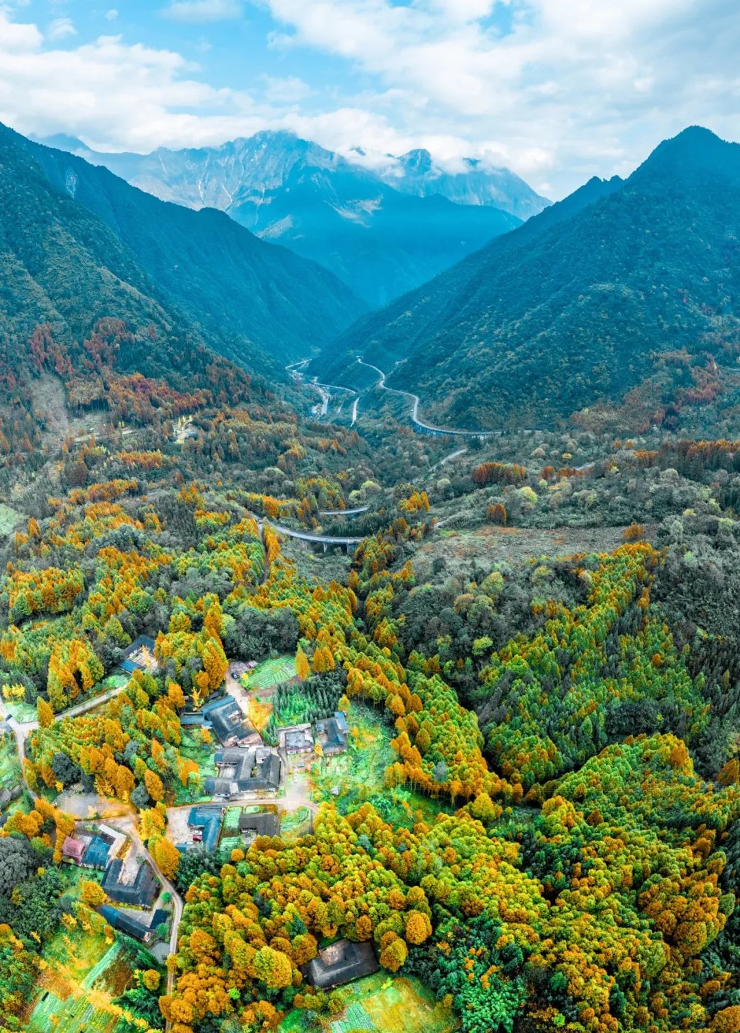 0版推进林业生态价值转化"案例简介崇州市以建设践行新发展理念的