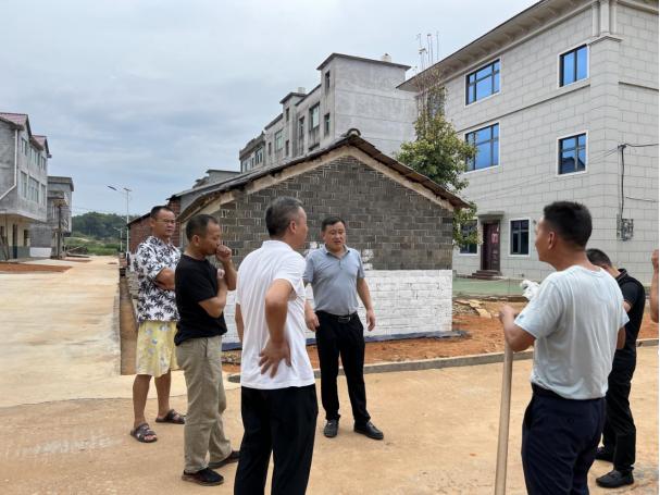 杨圩镇:人大代表助力新农村建设_澎湃号·政务_澎湃新闻-the paper