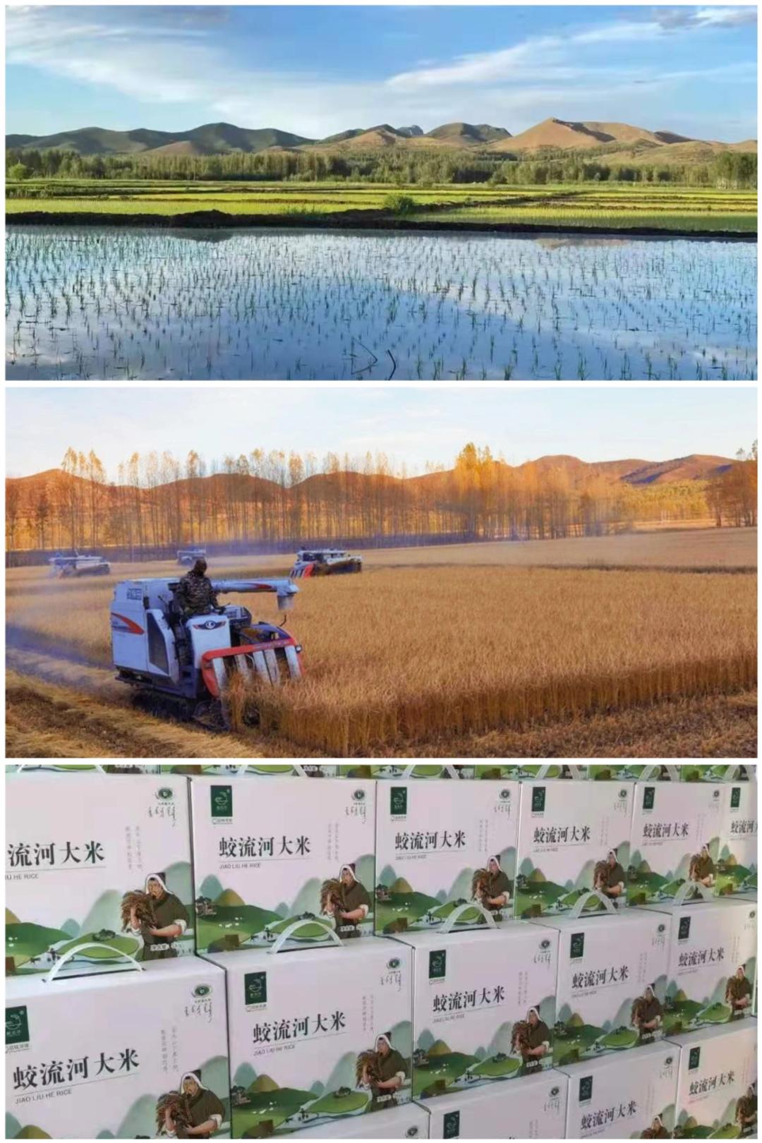 【移风易俗主题宣传月】传耕读家风,承百年文明_澎湃号·政务_澎湃