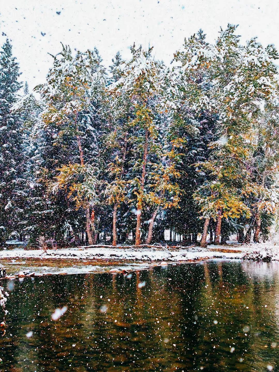 【玩转富蕴】大波雪花上线!准备好了吗?初冬到可可托海看雪