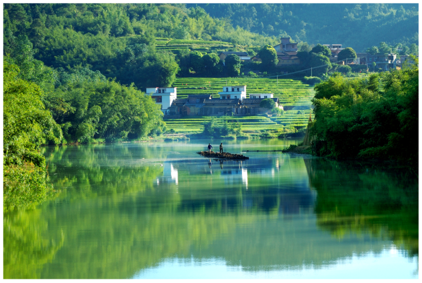 四会飞鹅岭湿地公园图片