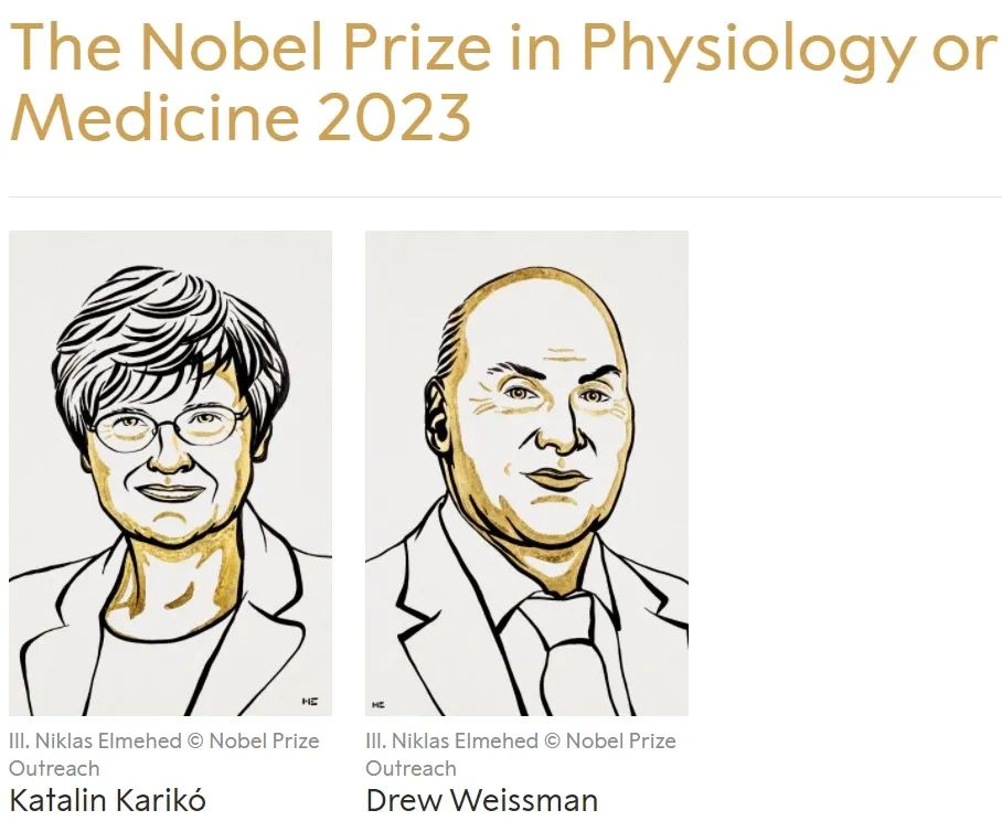 2023年诺贝尔生理学或医学奖公布