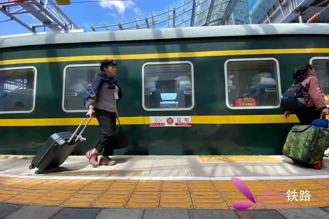 向祖国西北出发!旅游专列奔向金色胡杨林