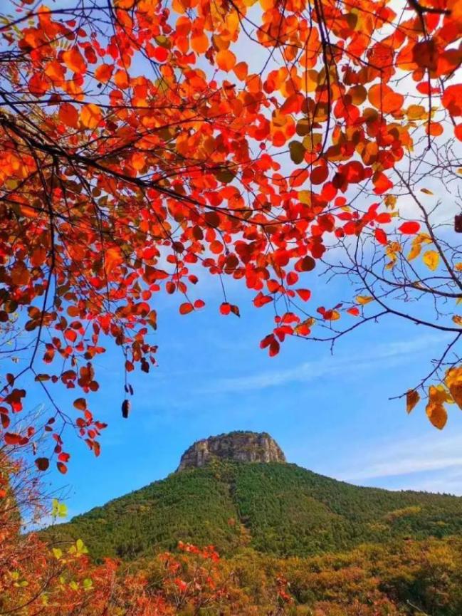 来源:文旅山亭潍坊·临朐石门坊泰安·泰山临沂·蒙山沂蒙山龟蒙景区