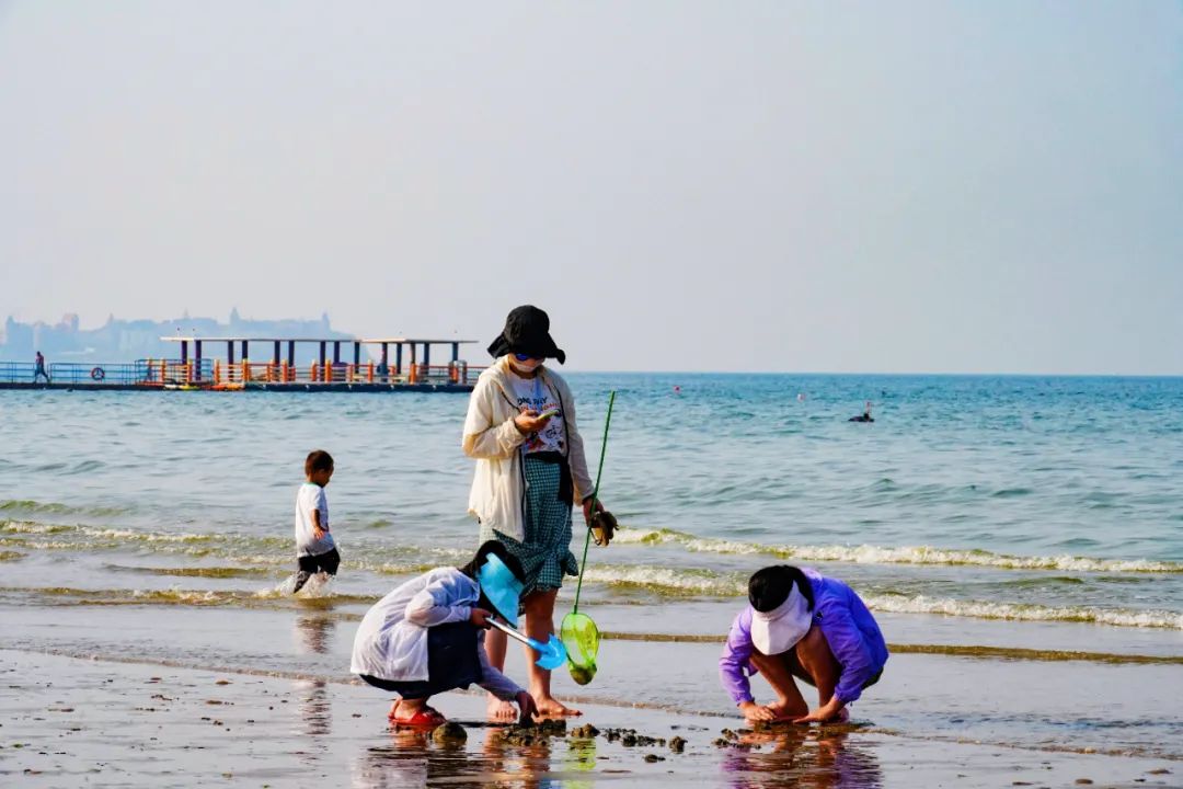 烟台第一海水浴场赶海图片