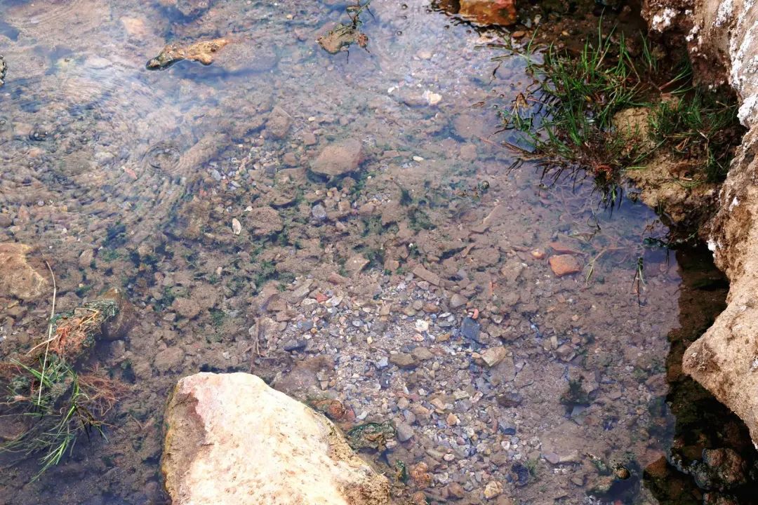 泉沟位于甘肃省金昌市金川区的北部,龙首山脚下,距离市区约四十公里