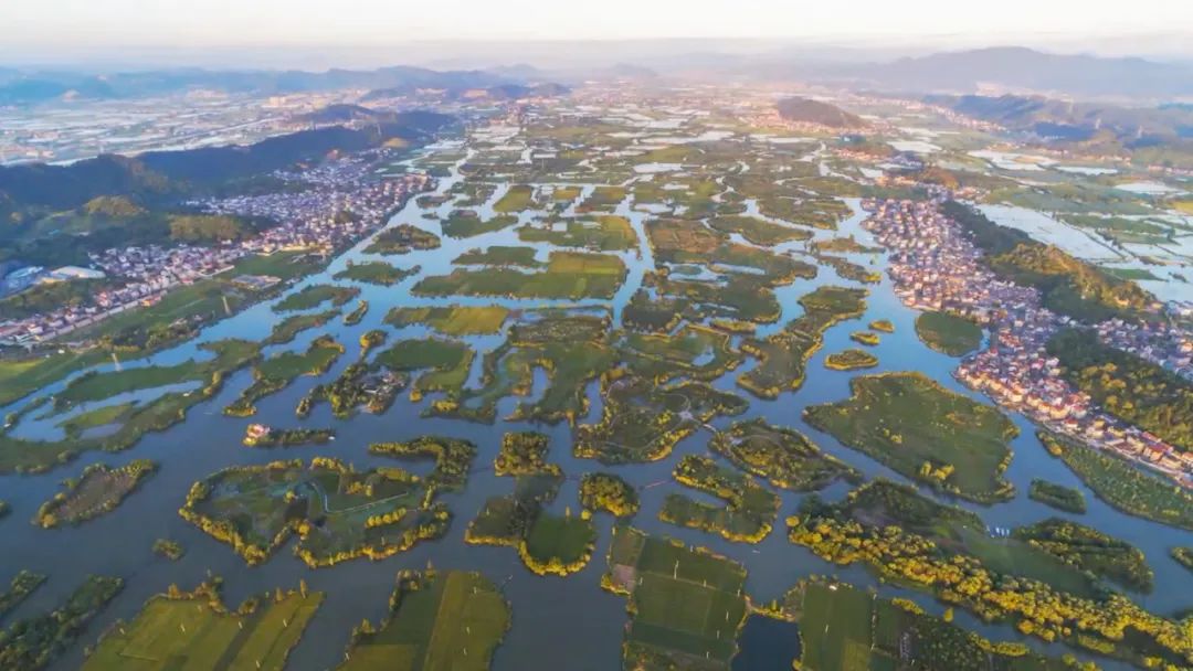 诸暨西湖湿地新情况图片