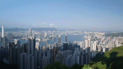 港港郊野｜去香港行山捕捉“野生”发哥吧！