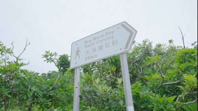 港港郊野｜去香港行山捕捉“野生”发哥吧！