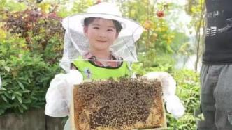 保护濒危物种中华蜂| 青创生态文明驿站科普活动火热报名中！