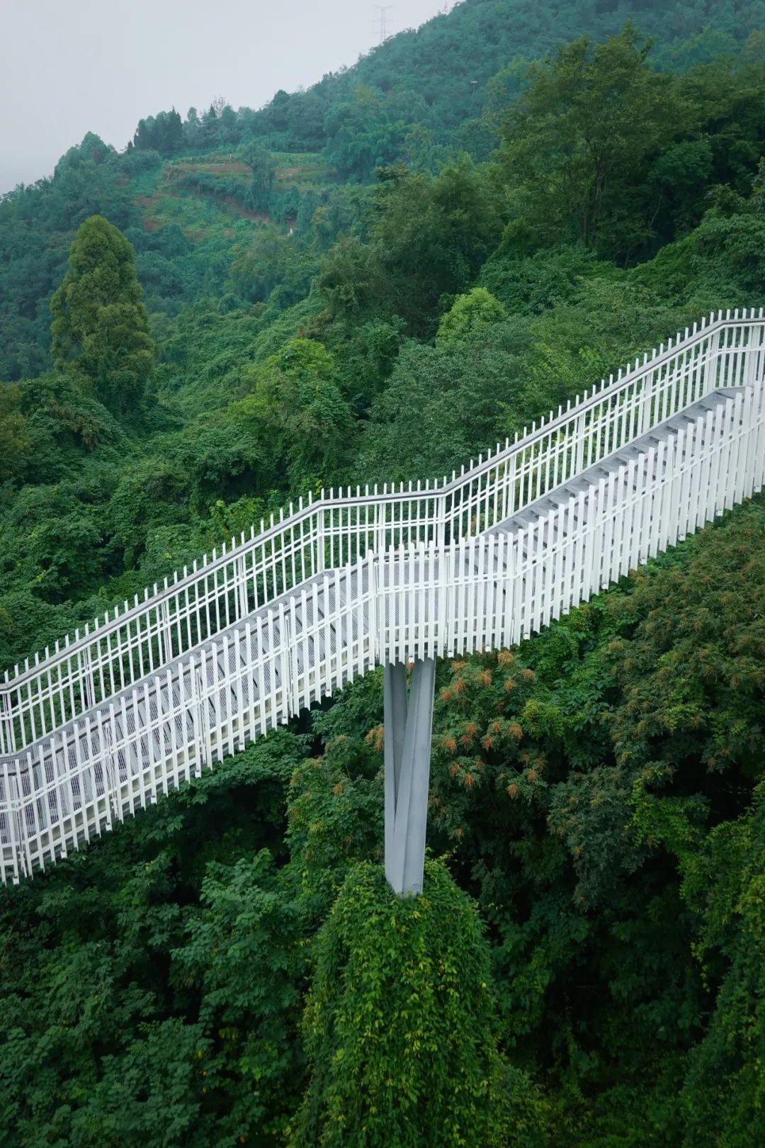 向云端!高空栈道来了