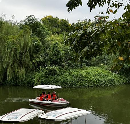 石峡遗址出土文物,先睹为快!_澎湃号·政务_澎湃新闻-the paper