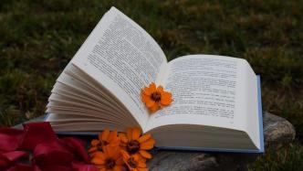 争论协议解除还是单方解除的意义是什么？