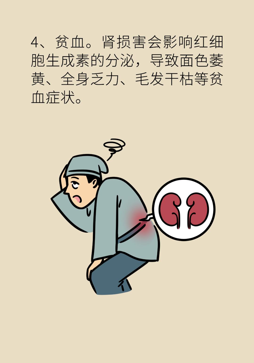 肾该怎么补才对?