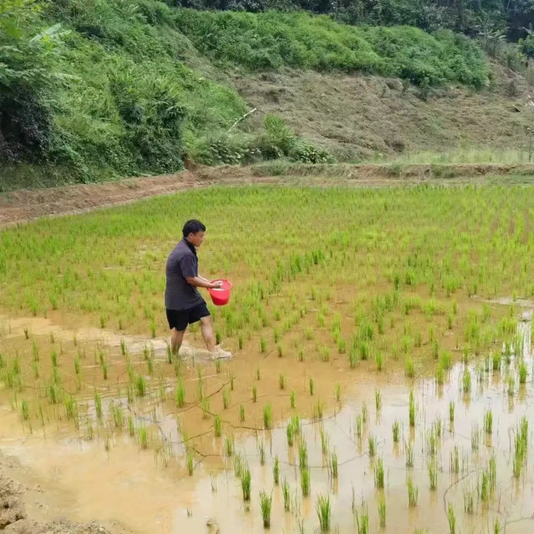 致富经养河虾_致富经养虾_致富经淡水虾养殖视频