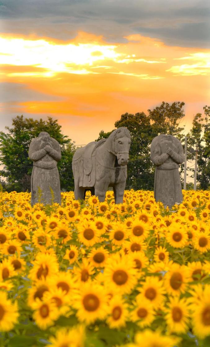 河南旅游景点免费开放图片