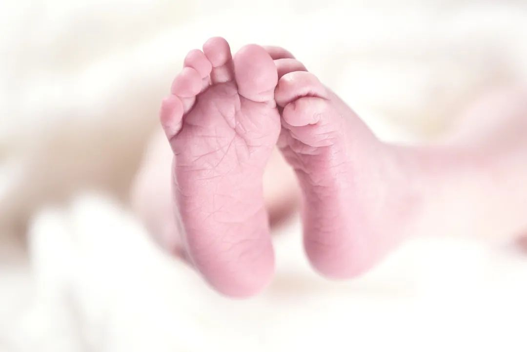 健康指标与潜在风险——新生儿出生体重