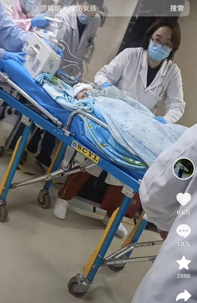 部分小区成立打狗队?