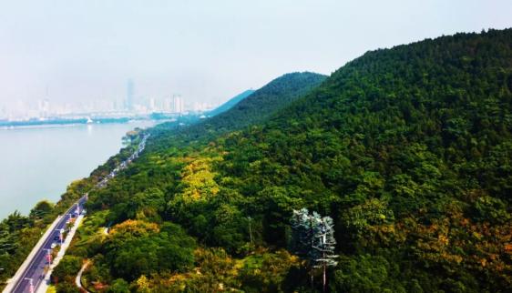临时交通管制！