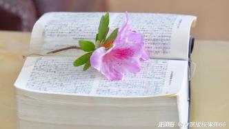 粗剪和精剪工作均未通過驗收，合同解除時服務費應如何處理？