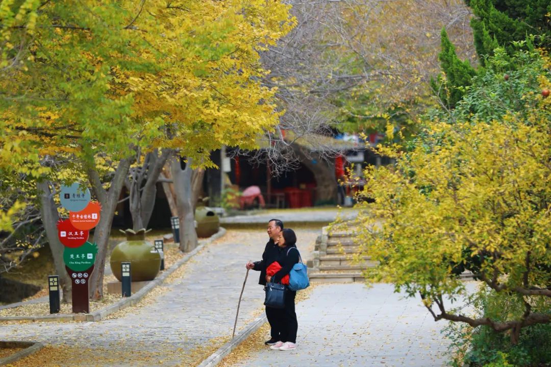 秋天,一定要去趟峄城青檀寺!