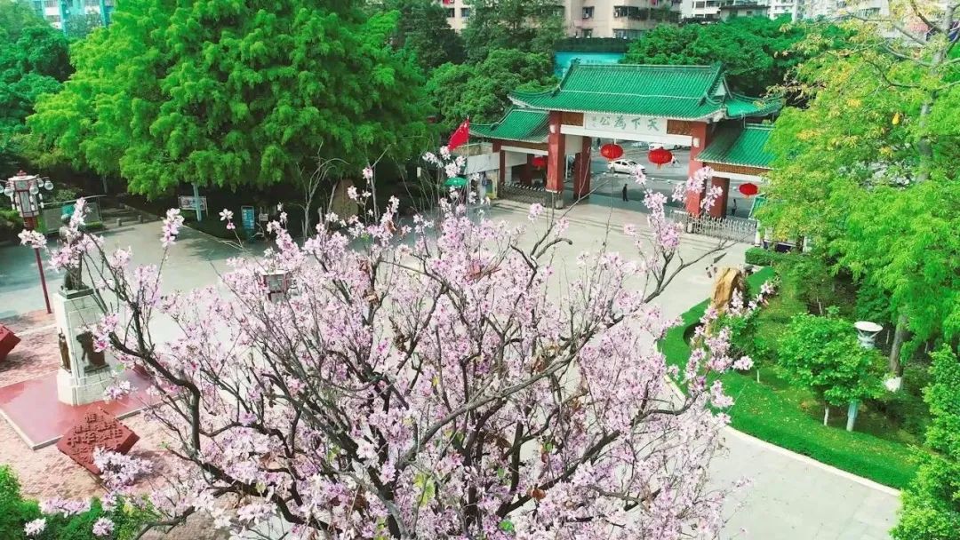 “工业老将”展新颜