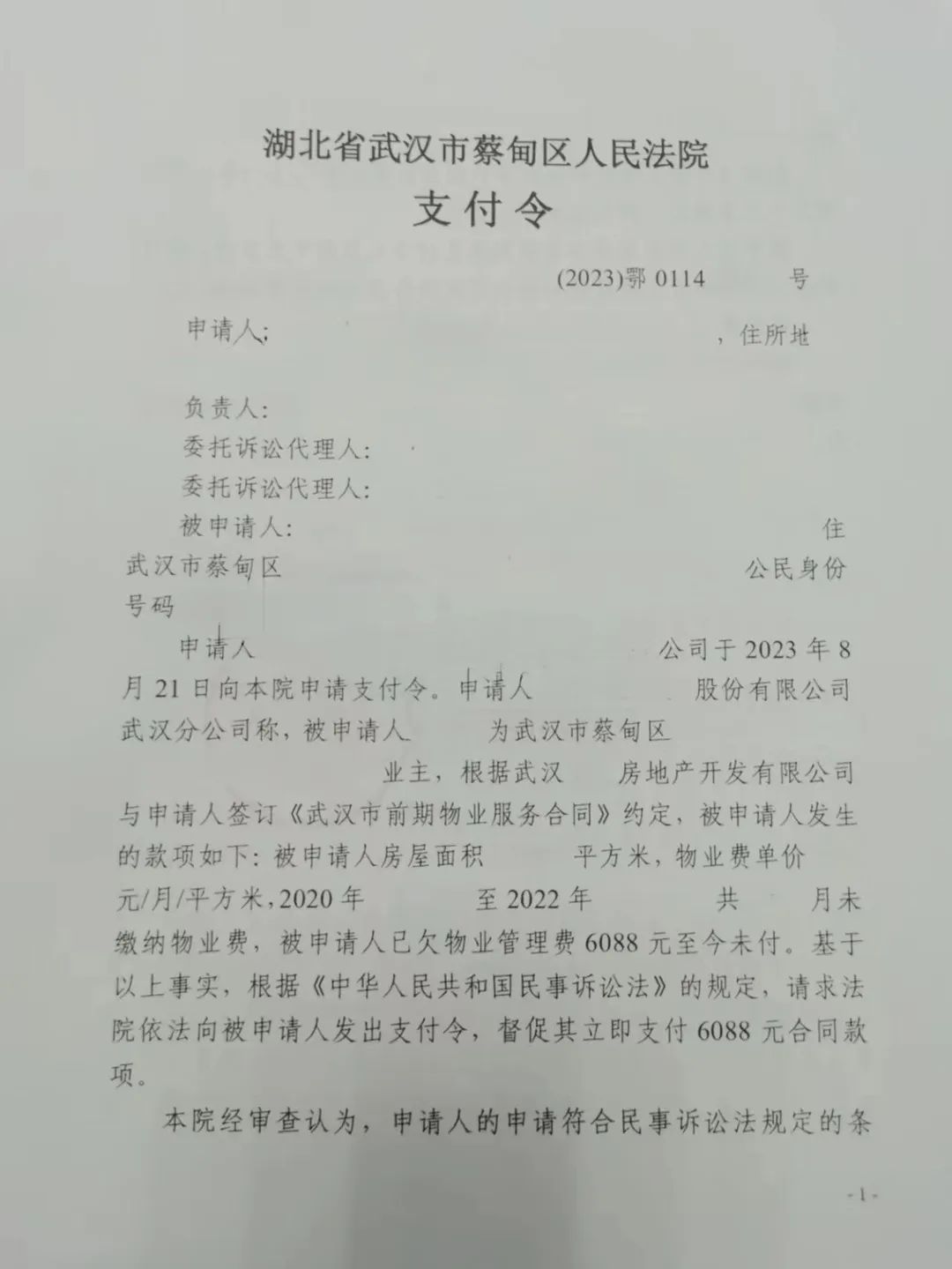 法院支付令模板图片