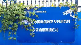 副中心鄉(xiāng)村開(kāi)出“數(shù)字花”：“慧種植”貫穿農(nóng)業(yè)全流程 科技模塊打造村級(jí)“12345”