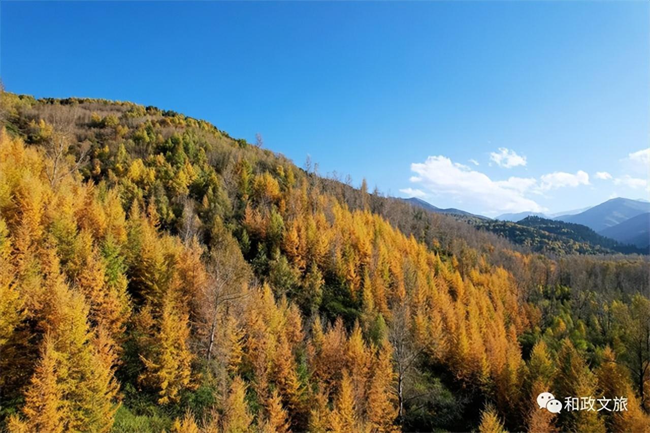 探索金秋胜景,感受临夏松鸣岩景区的别样魅力