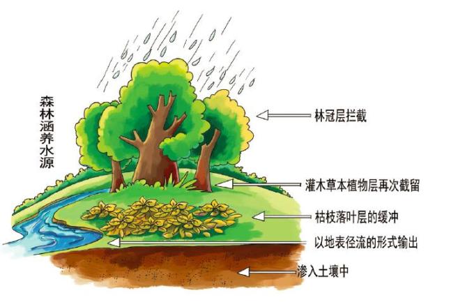 科普平谷