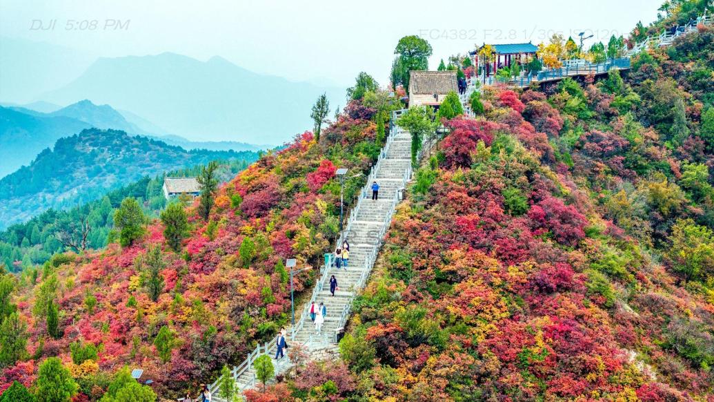 柏尖山：秋色斑斓，红叶醉游人丨河南安阳林州