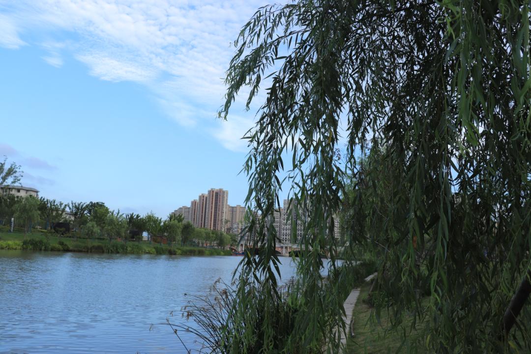 绿美盐南,美美与共!