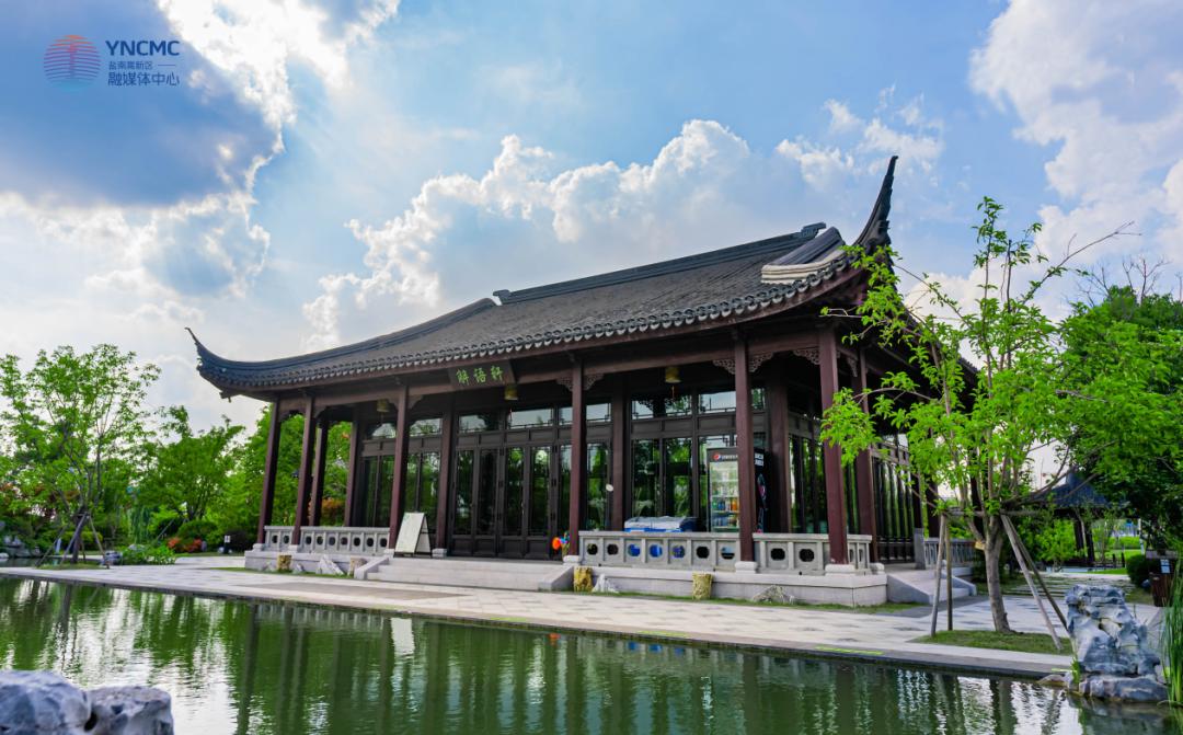 绿美盐南,美美与共!